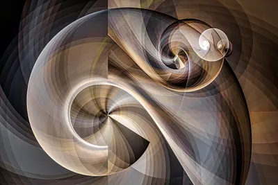 Wandkunst: Nautilusschelp en de Fibonacci-reeks
