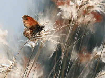 Wandkunst: Vlinder: poëzie van de wind