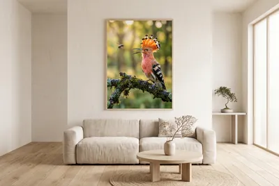 Interieurvoorbeeld: Hop